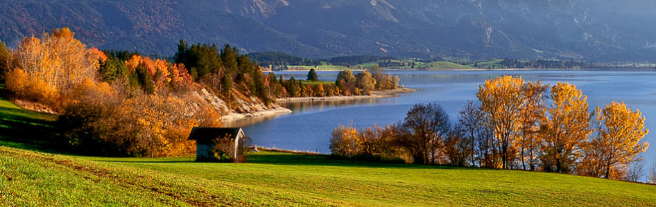 Panorama